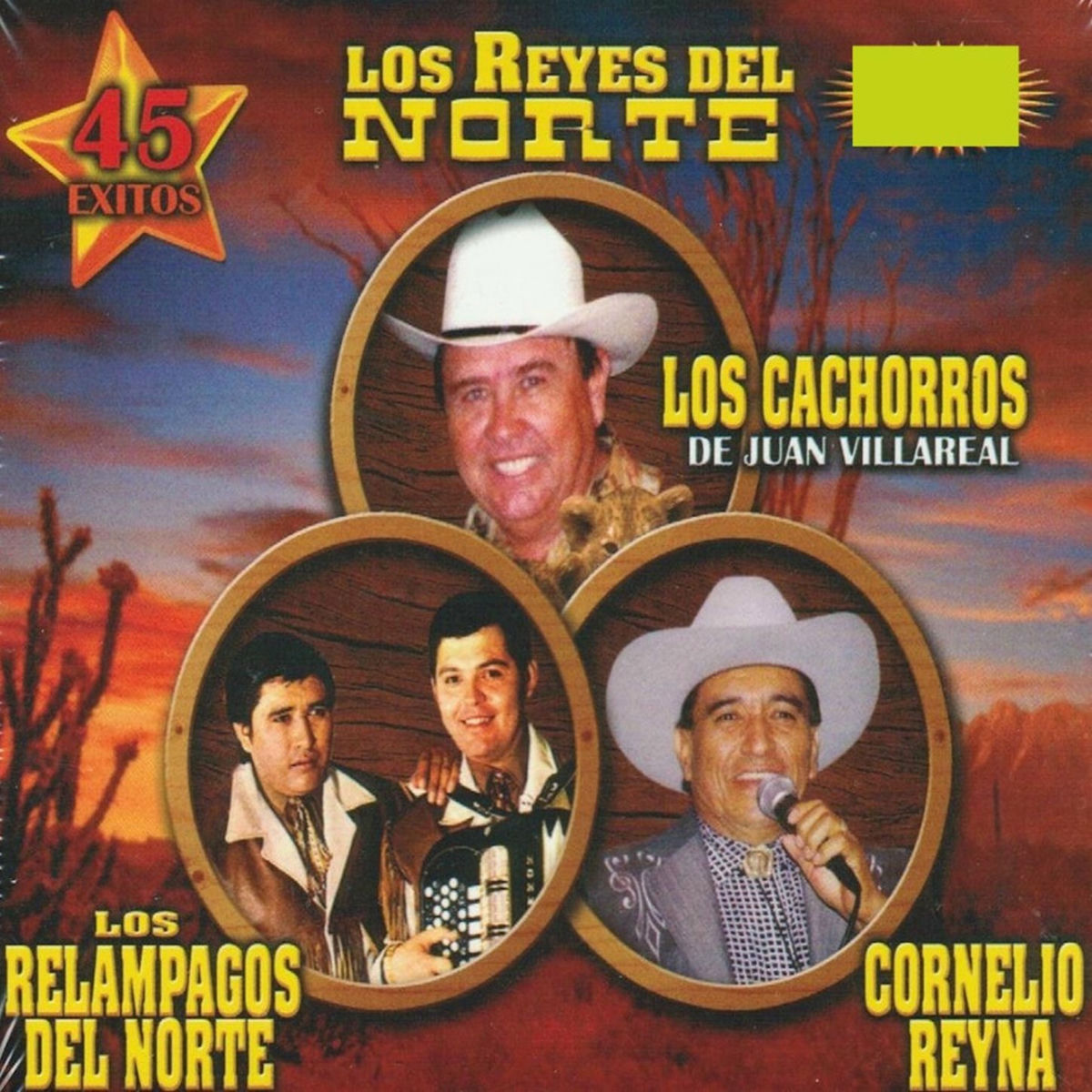 Album cover of Los Reyes Del Norte