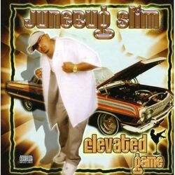 Cover of Elevated Game
