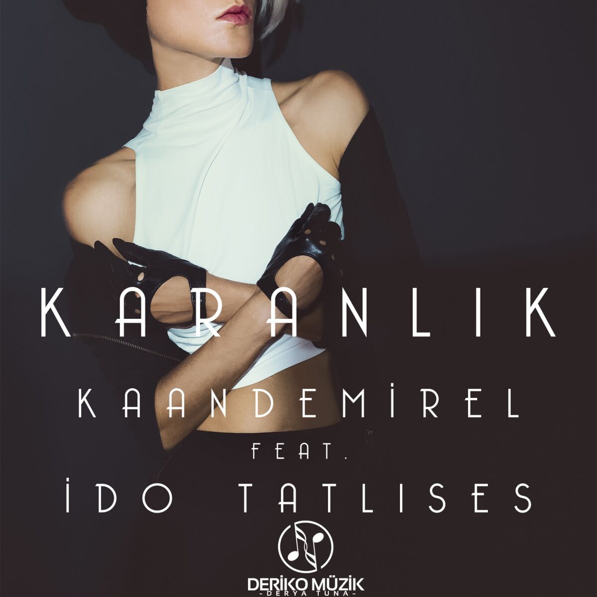 Album cover of Karanlık