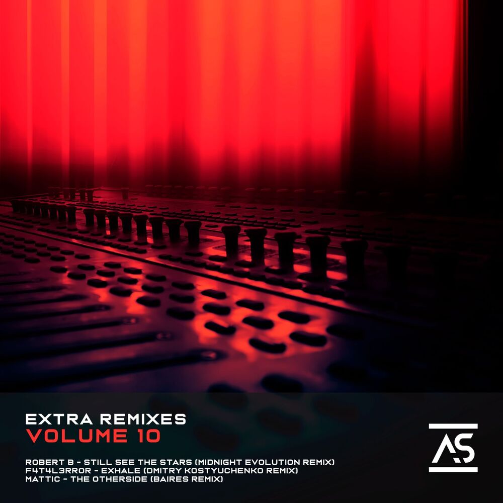 Picture of Extra Remixes, Vol. 10