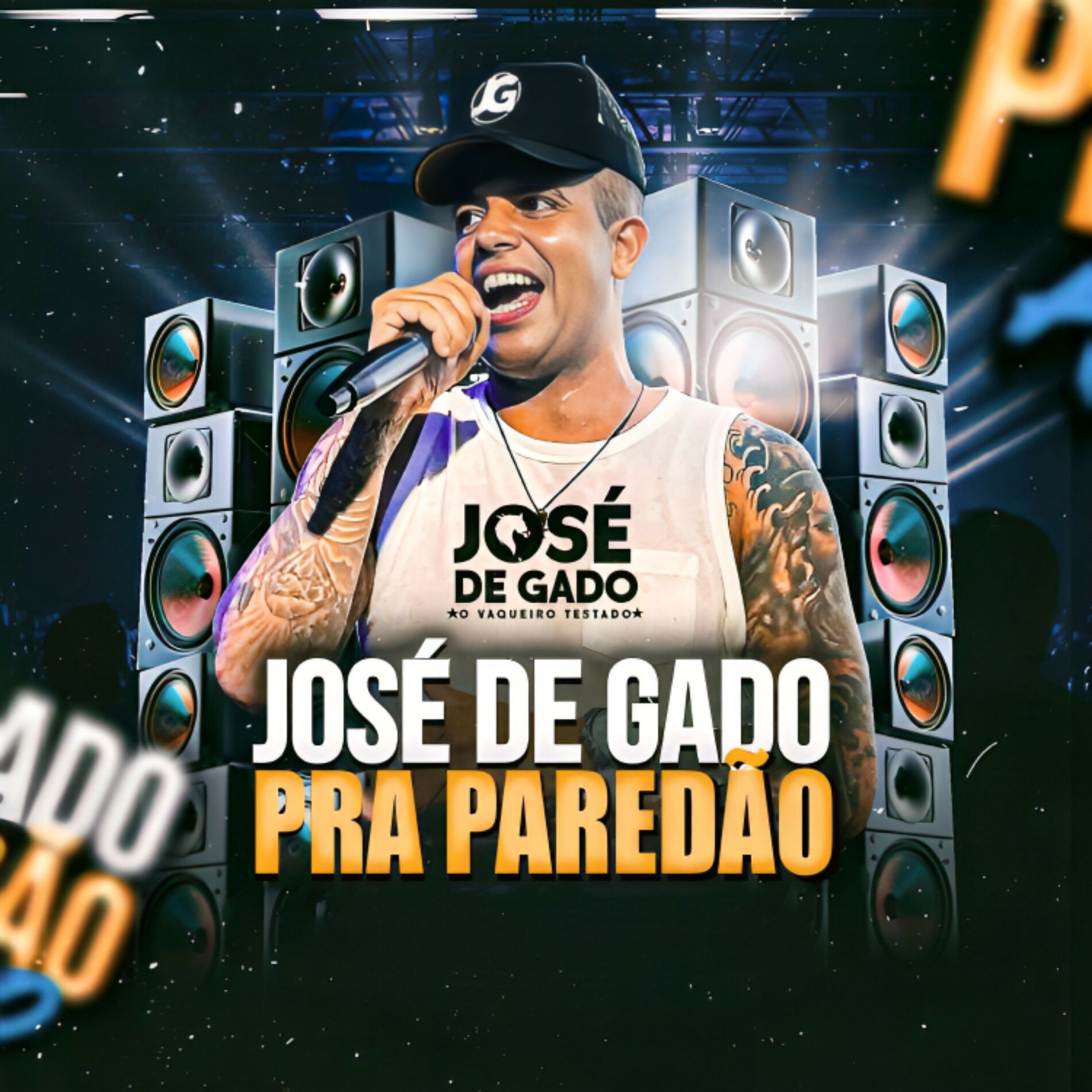 Album cover of Jose de Gado pra Paredão