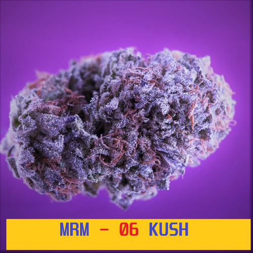 06 KUSH