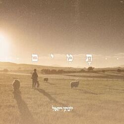 Cover of תמים