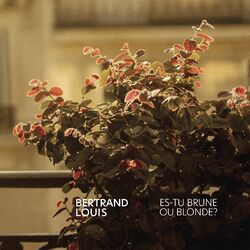 Cover of Es-tu brune ou blonde ? (Version Radio)