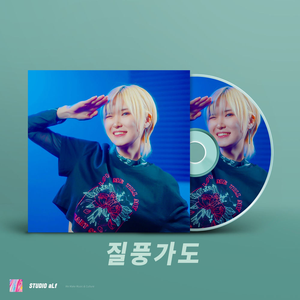 Album artwork for 질풍가도 by ALF