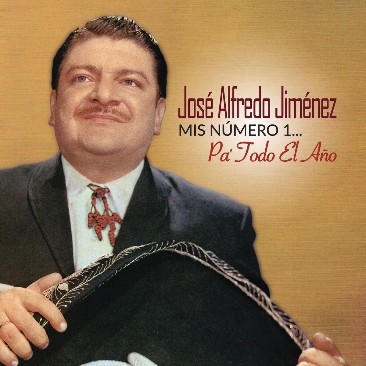 Album cover of Mis Número 1... Pa' Todo el Año