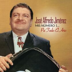 Cover of Mis Número 1... Pa' Todo el Año