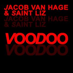 Cover of Voodoo