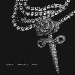 Cover of Chains