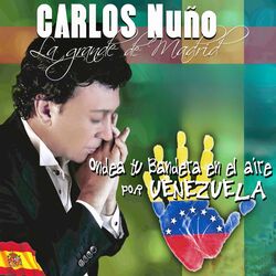 Cover of Ondea Tu Bandera En El Aire Por Venezuela