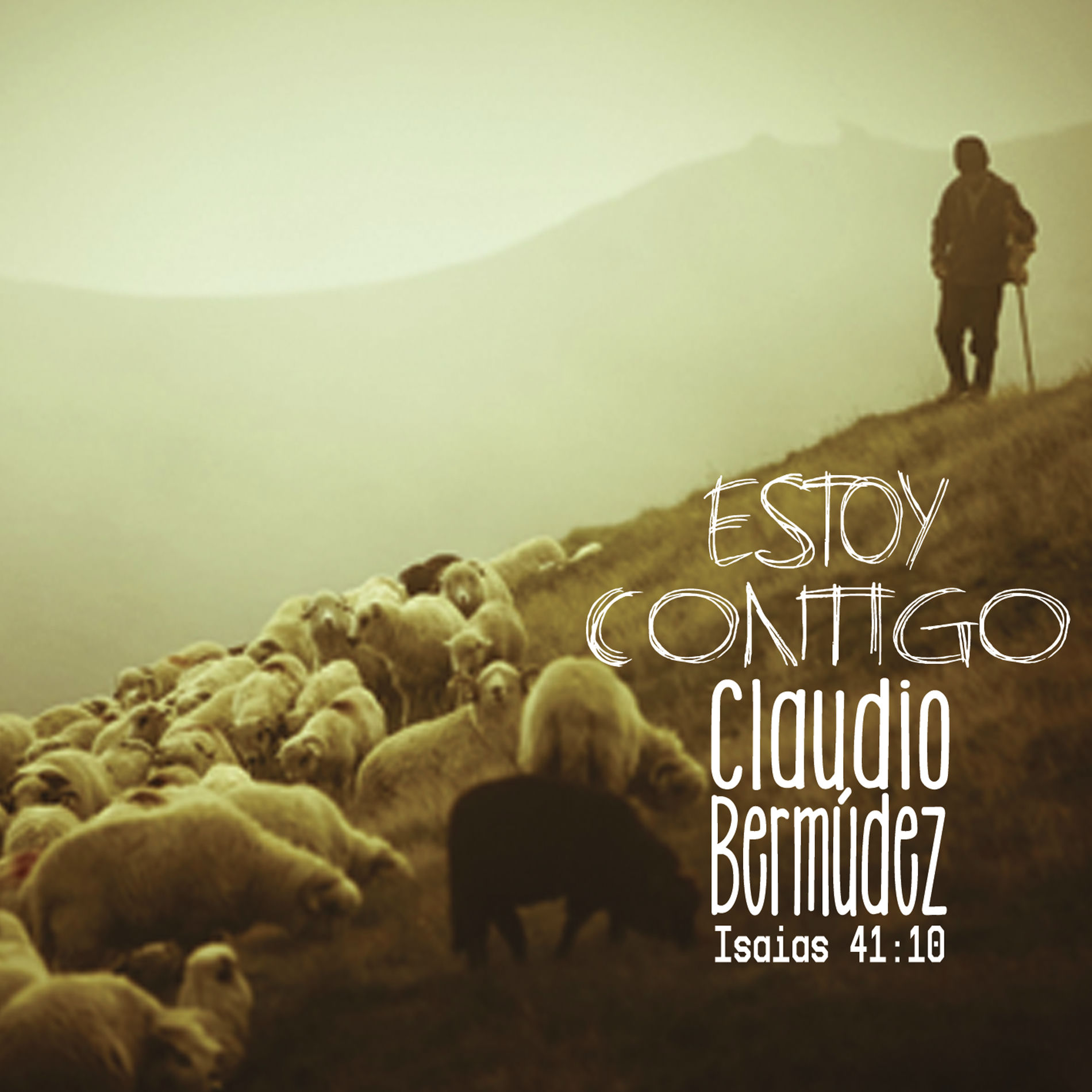 Album cover of Estoy Contigo