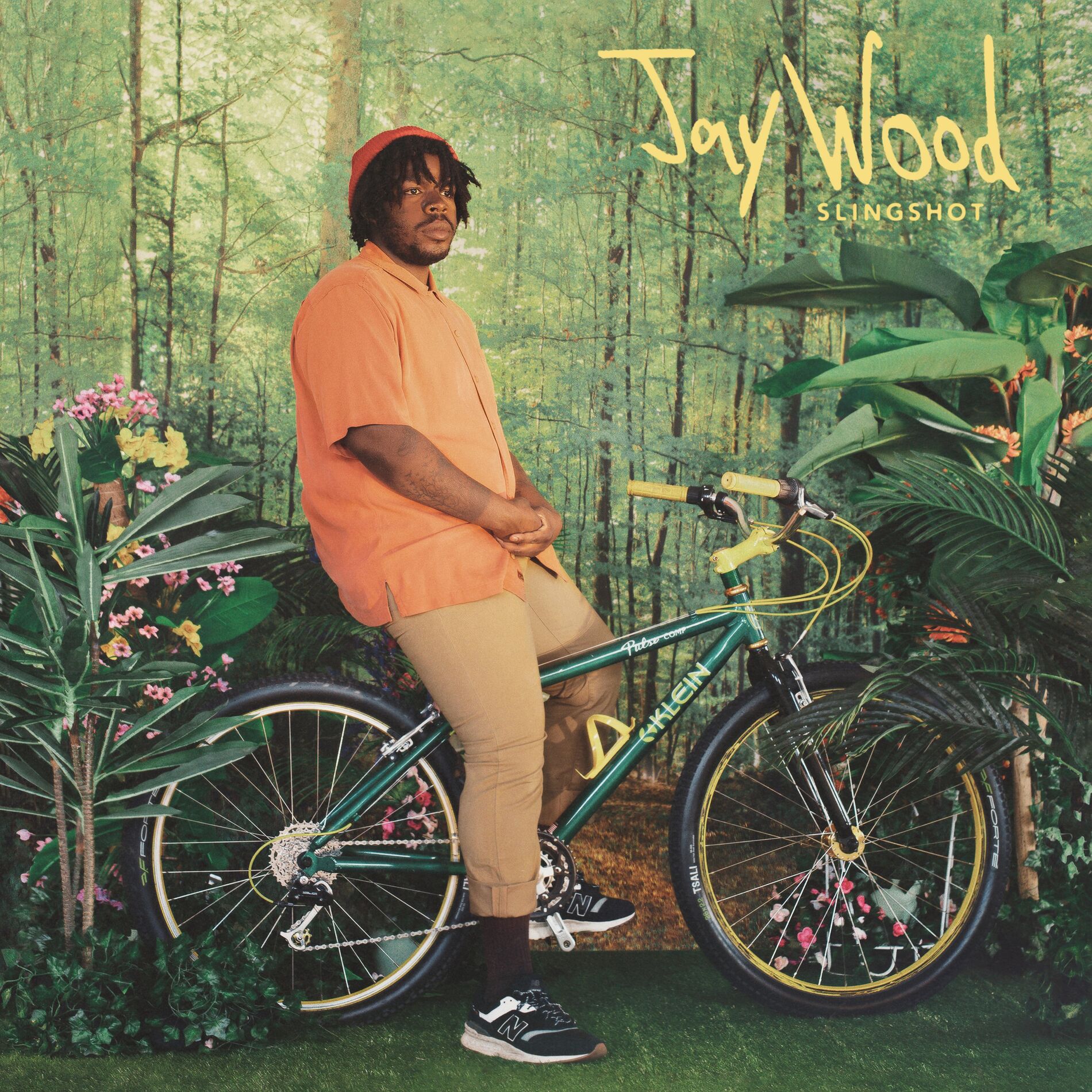 Album cover of Slingshot