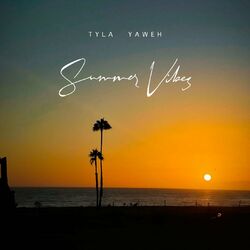 Cover of SUMMER VIBES