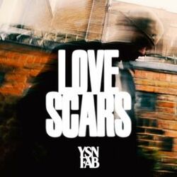 Cover of Love Scars