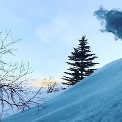 Cover of Afterski Lounge