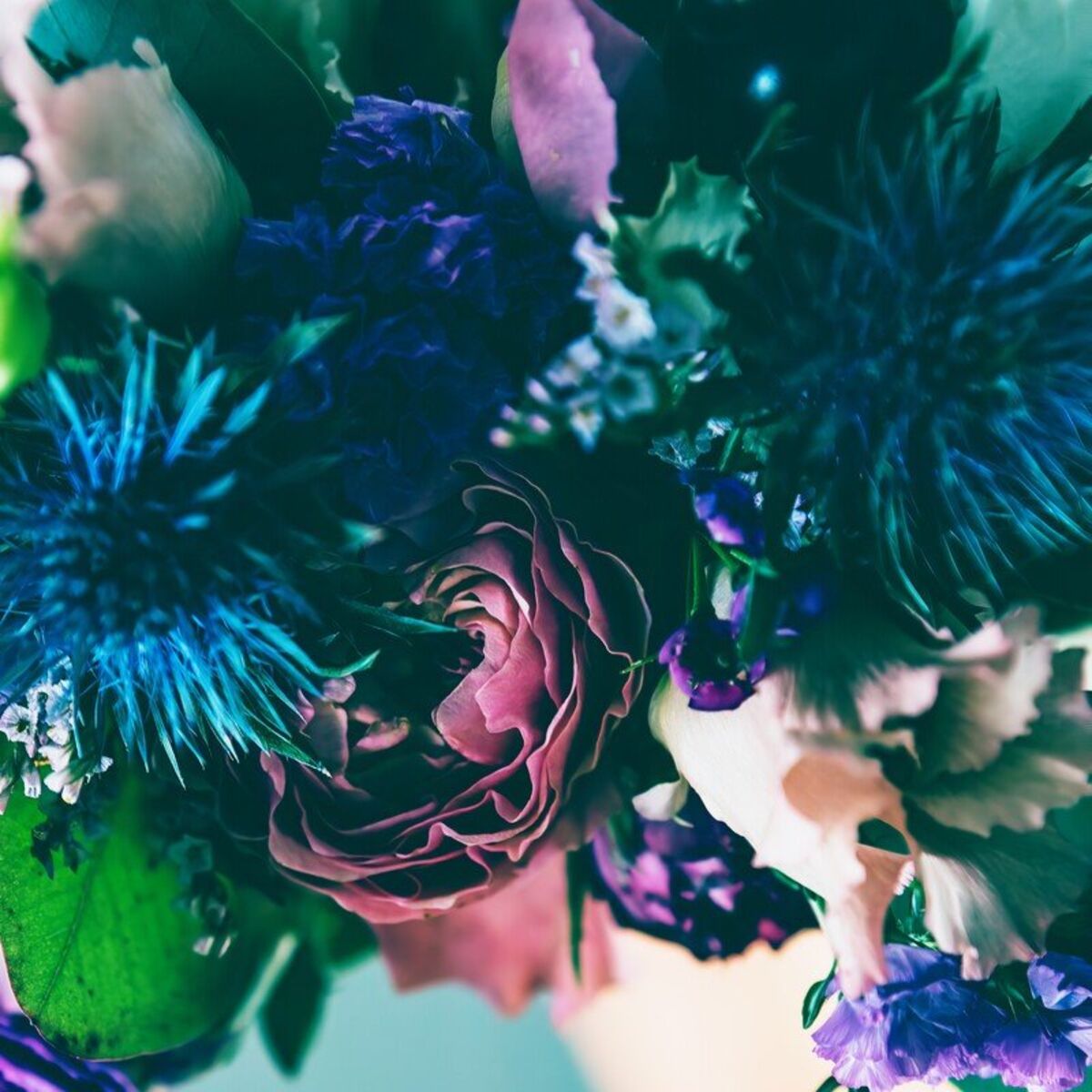 Album cover of Dusk
