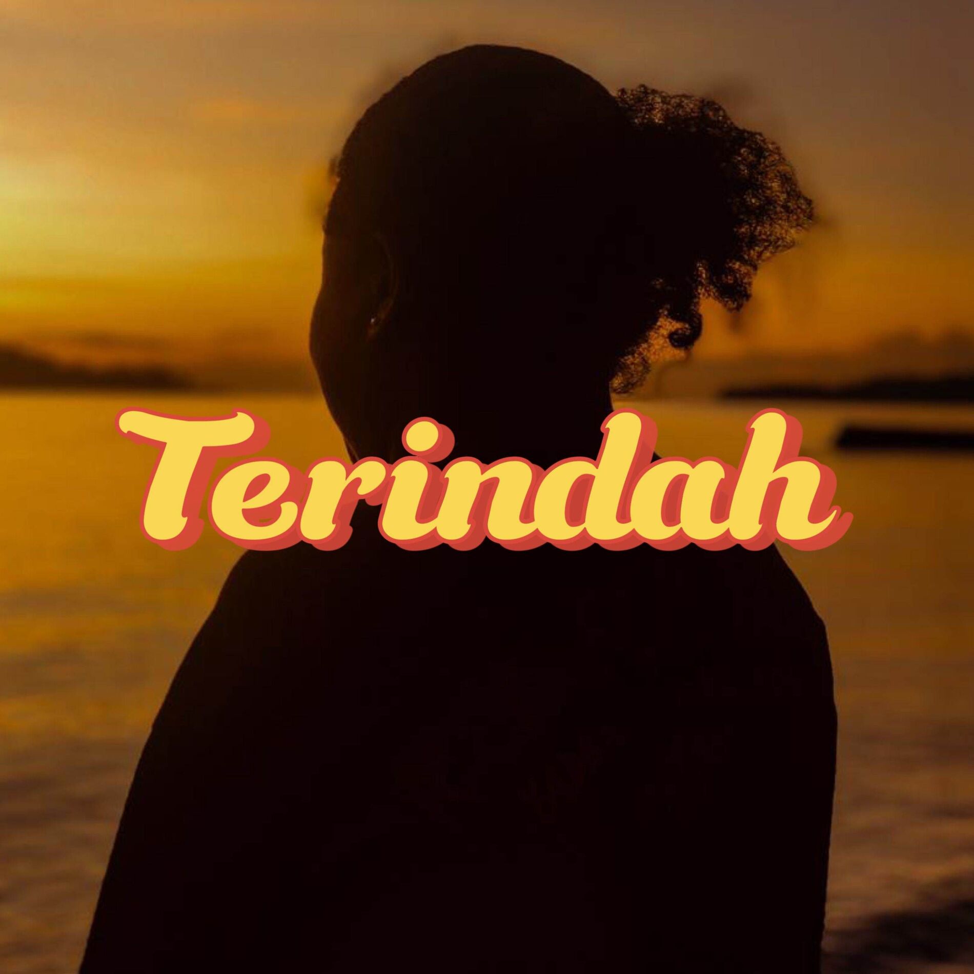 Album cover of Terindah