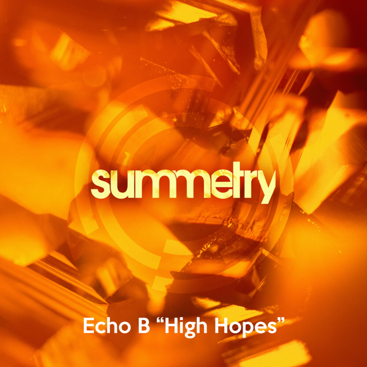 Album cover of High Hopes