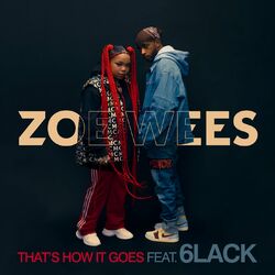 Cover of That’s How It Goes