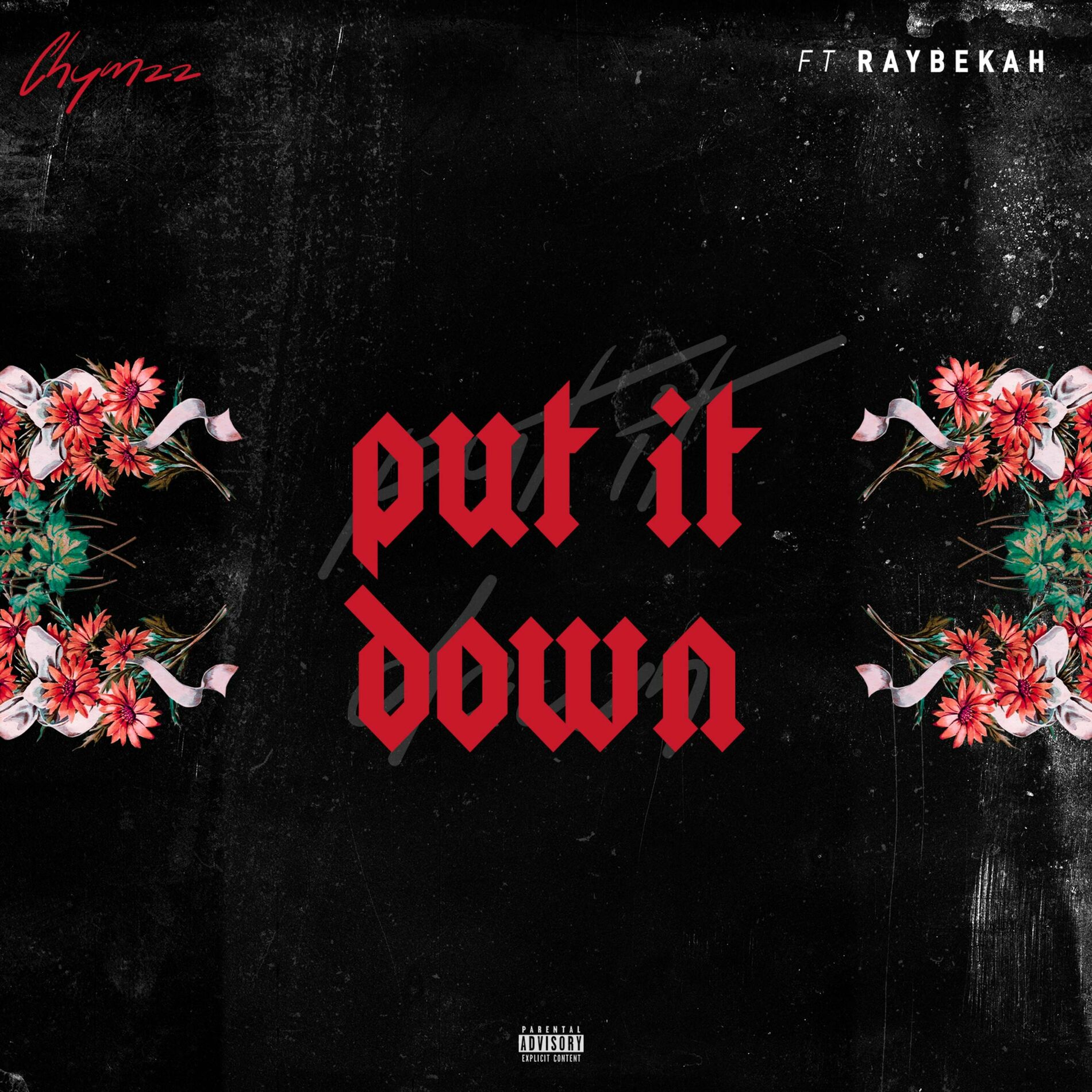Album cover of Put It Down (feat. Raybekah)