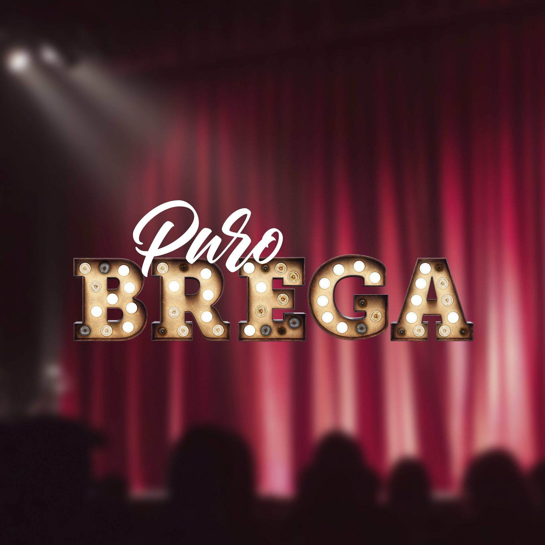 Album cover of Puro Brega