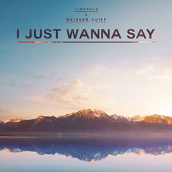 Cover of I Just Wanna Say