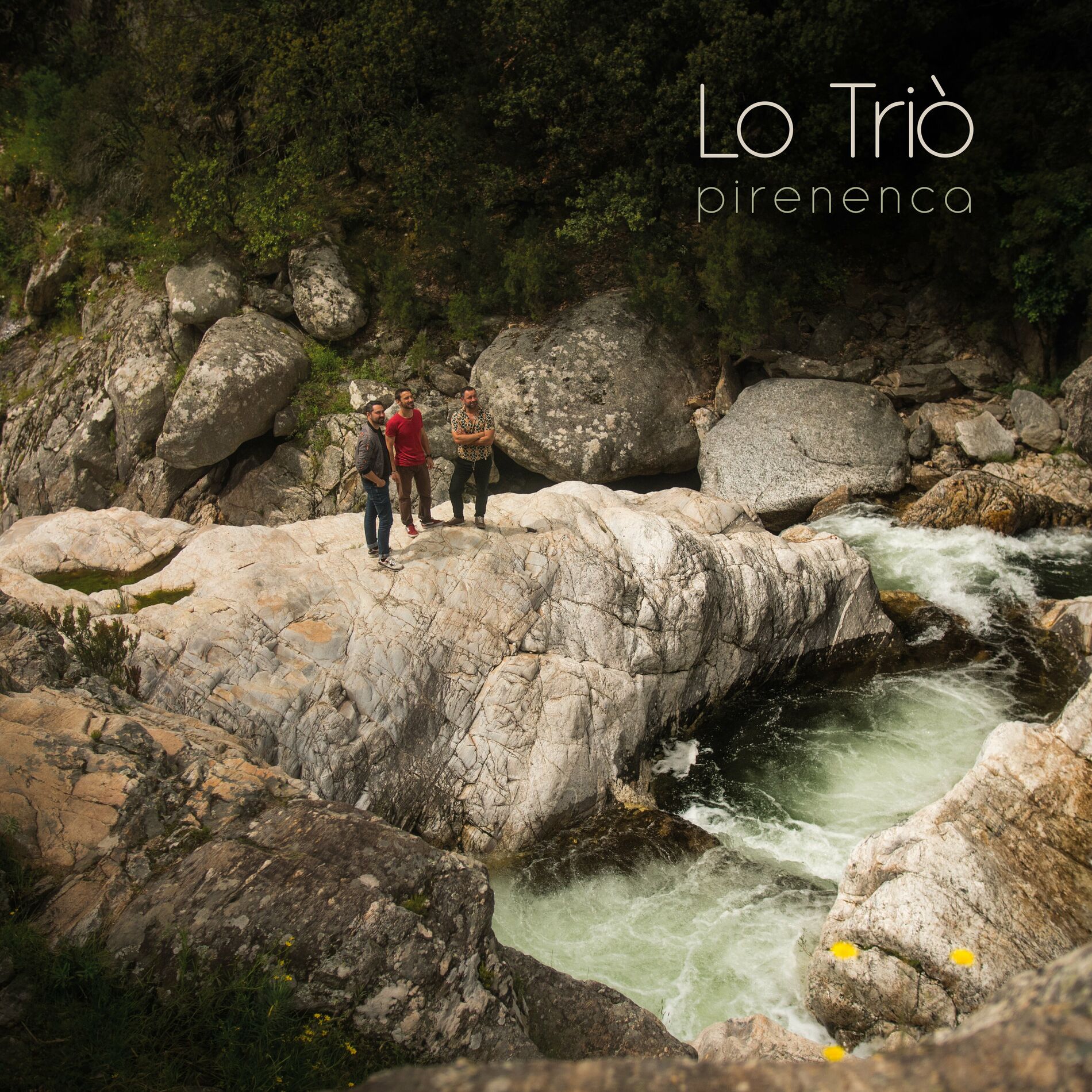 Album cover of Pirenenca