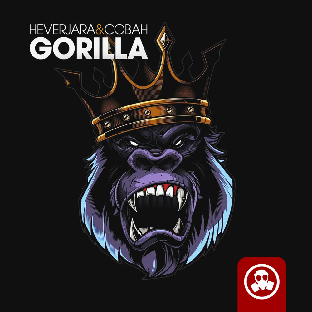 Picture of Gorilla