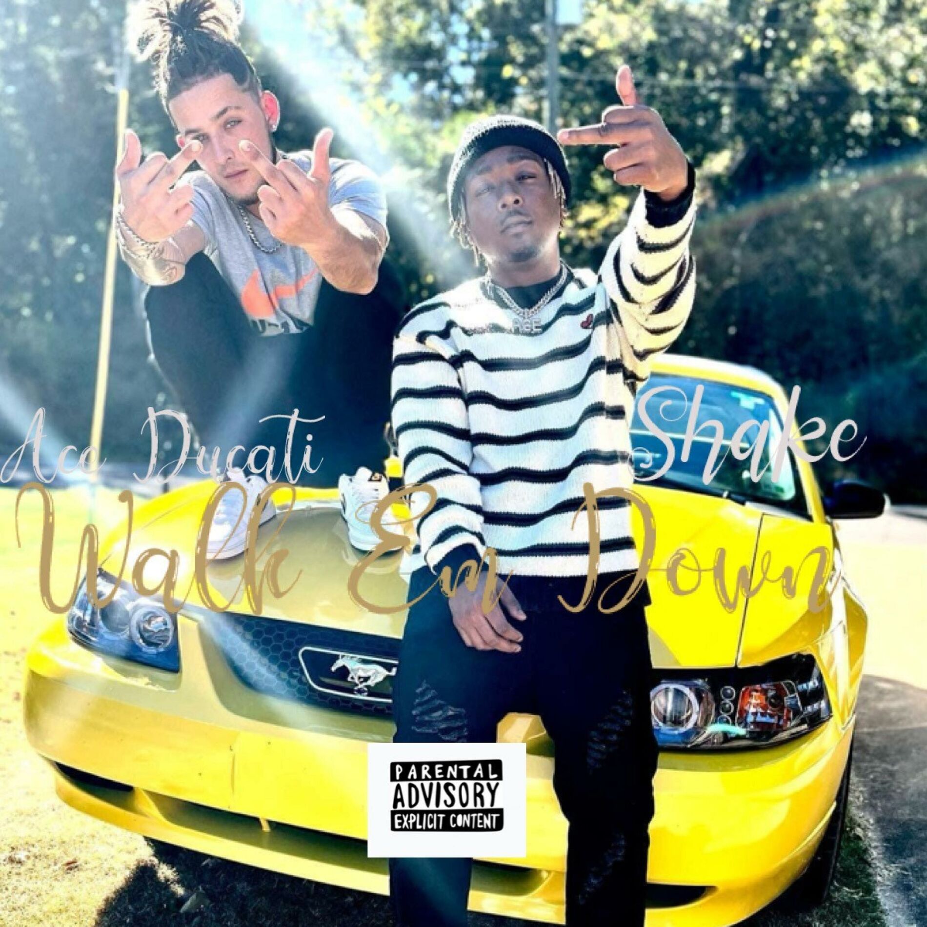 Album cover of Walk Em Down (feat. Shake)