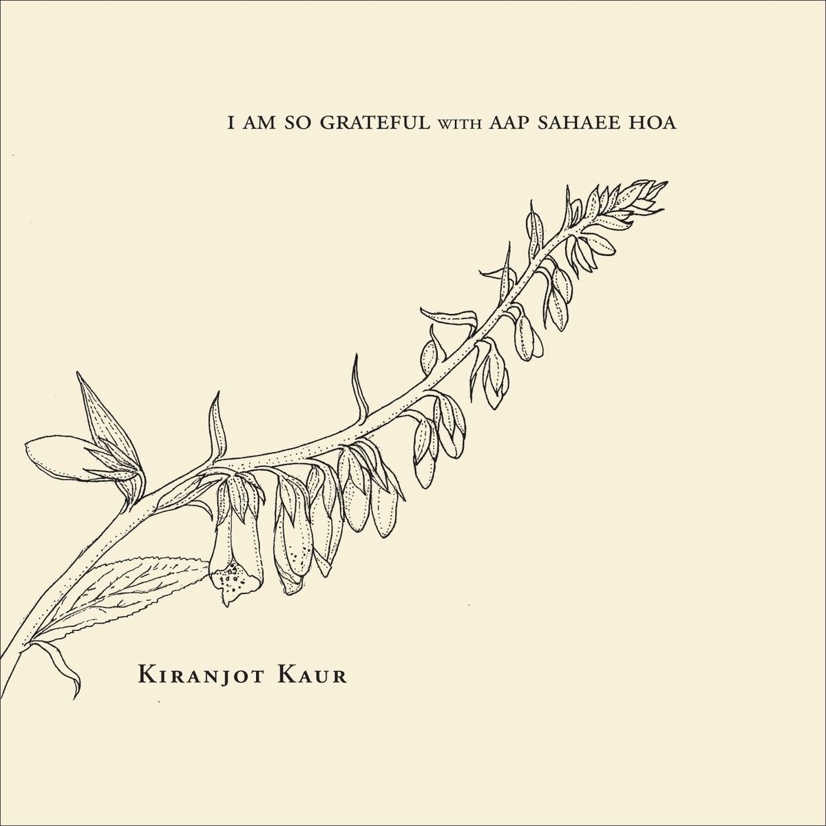 Album cover of I Am so Grateful with Aap Sahaee Hoa