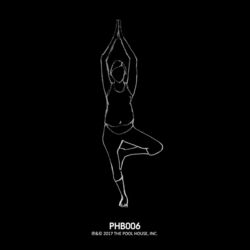 Cover of Shifting Structures