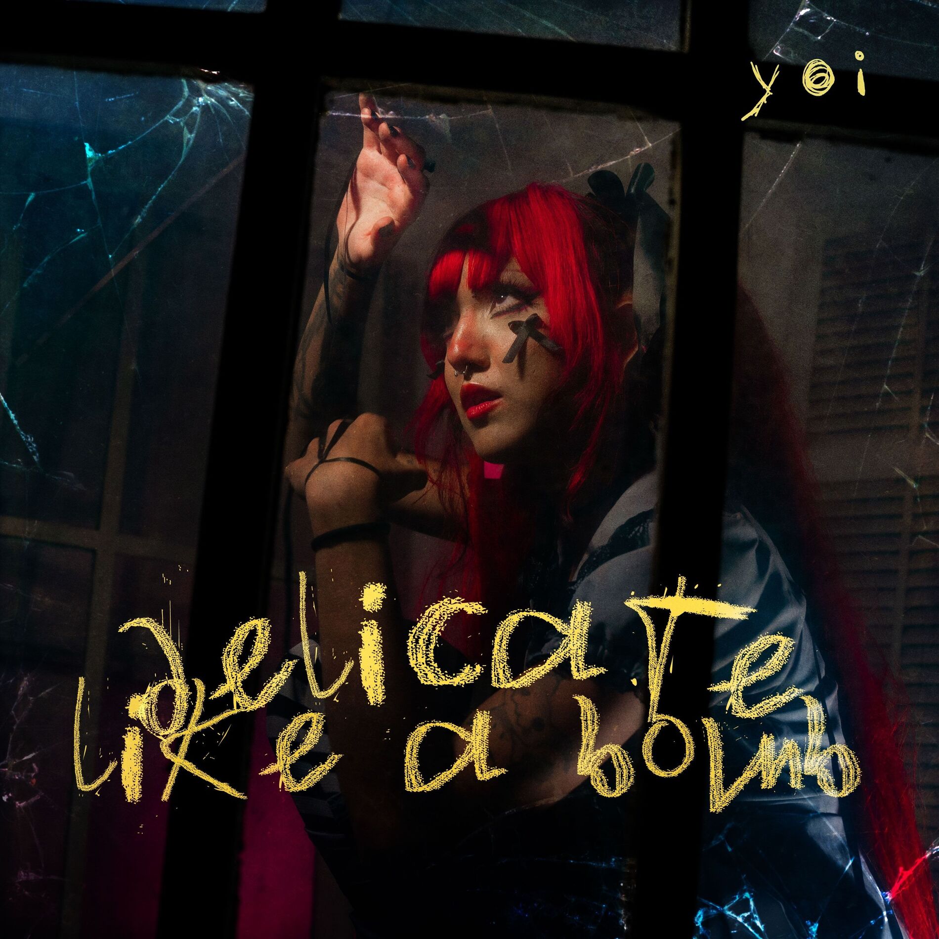 Album cover of delicate like a bomb