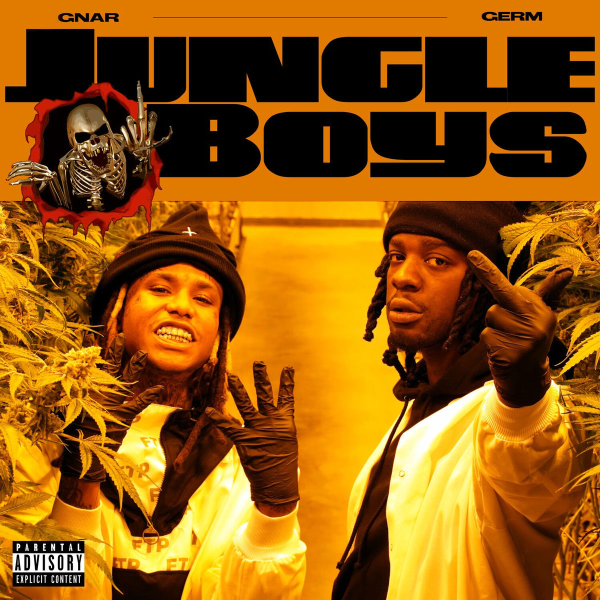 Album cover of Jungle Boys