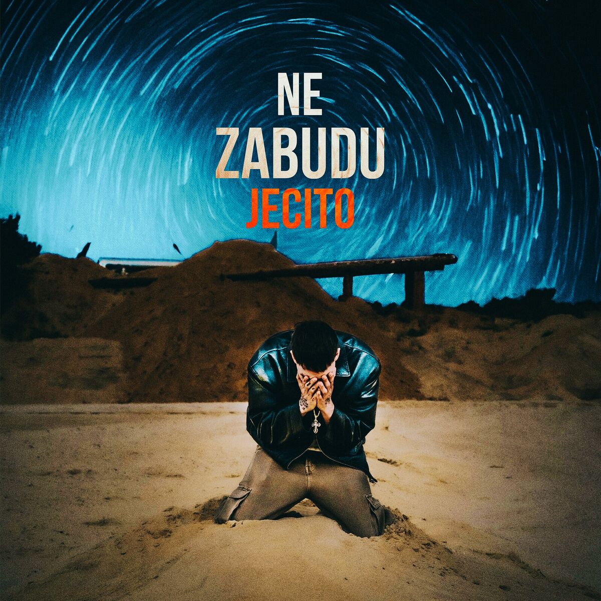 Album cover of Ne Zabudu