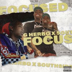 Cover of Focused