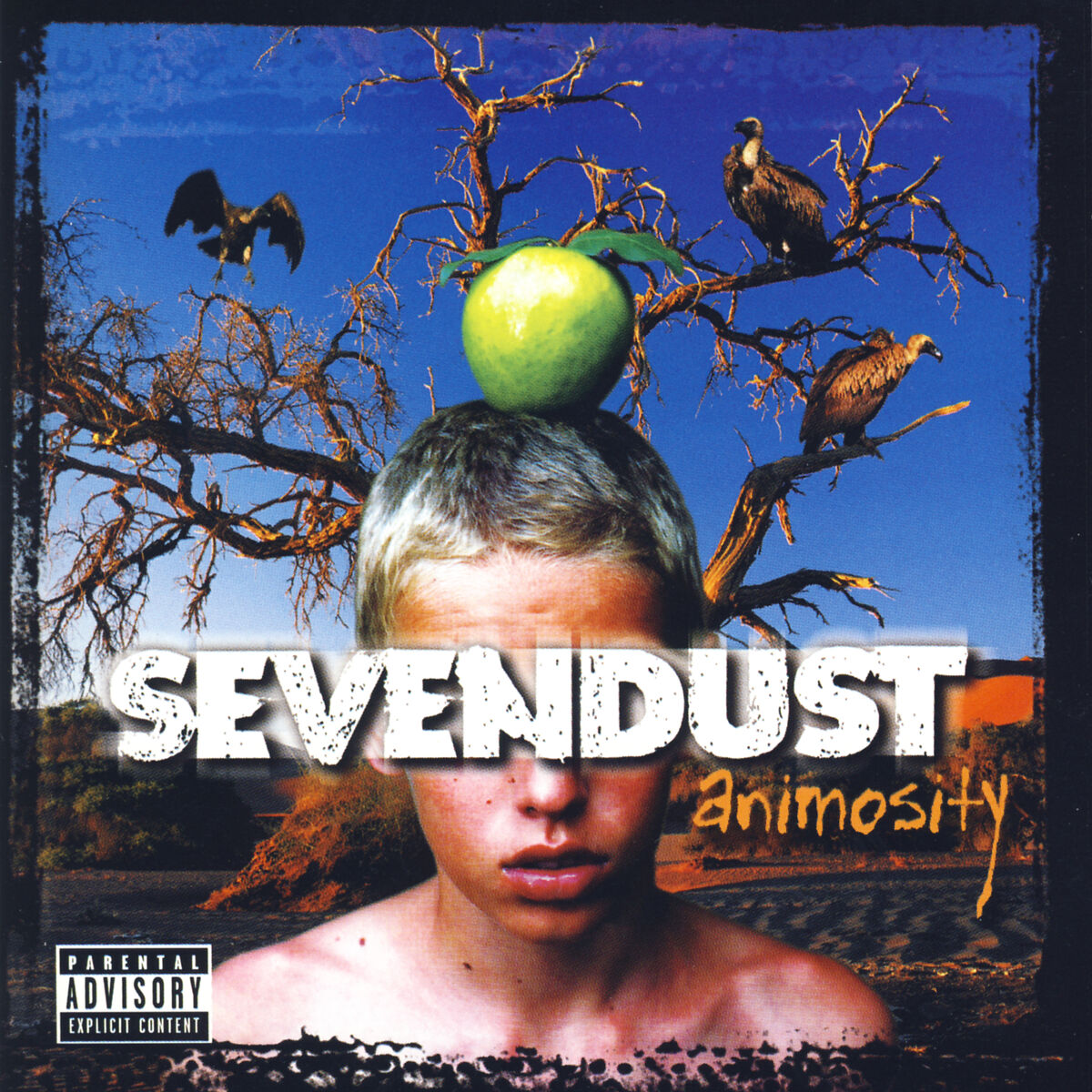 Album cover of Animosity