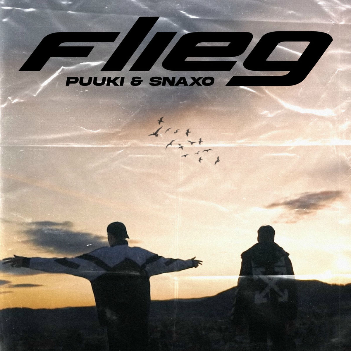 Album cover of Flieg