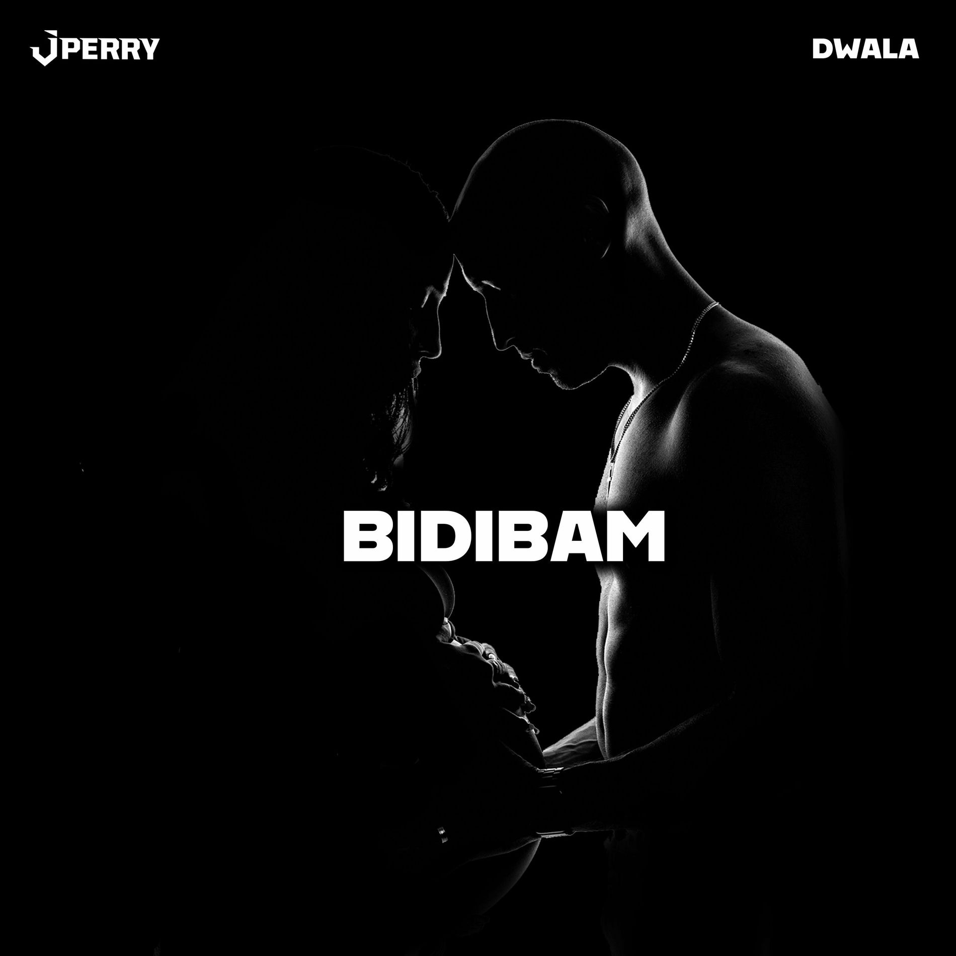 Album cover of BIDIBAM