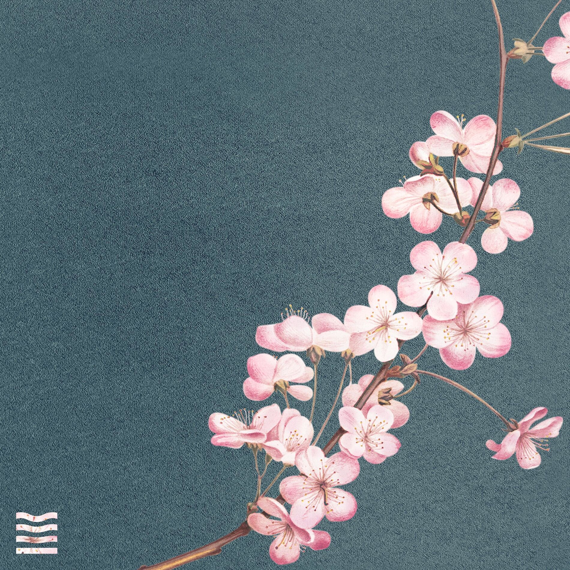 Album cover of Cherry Blossom