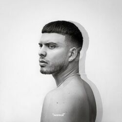 Cover of normal
