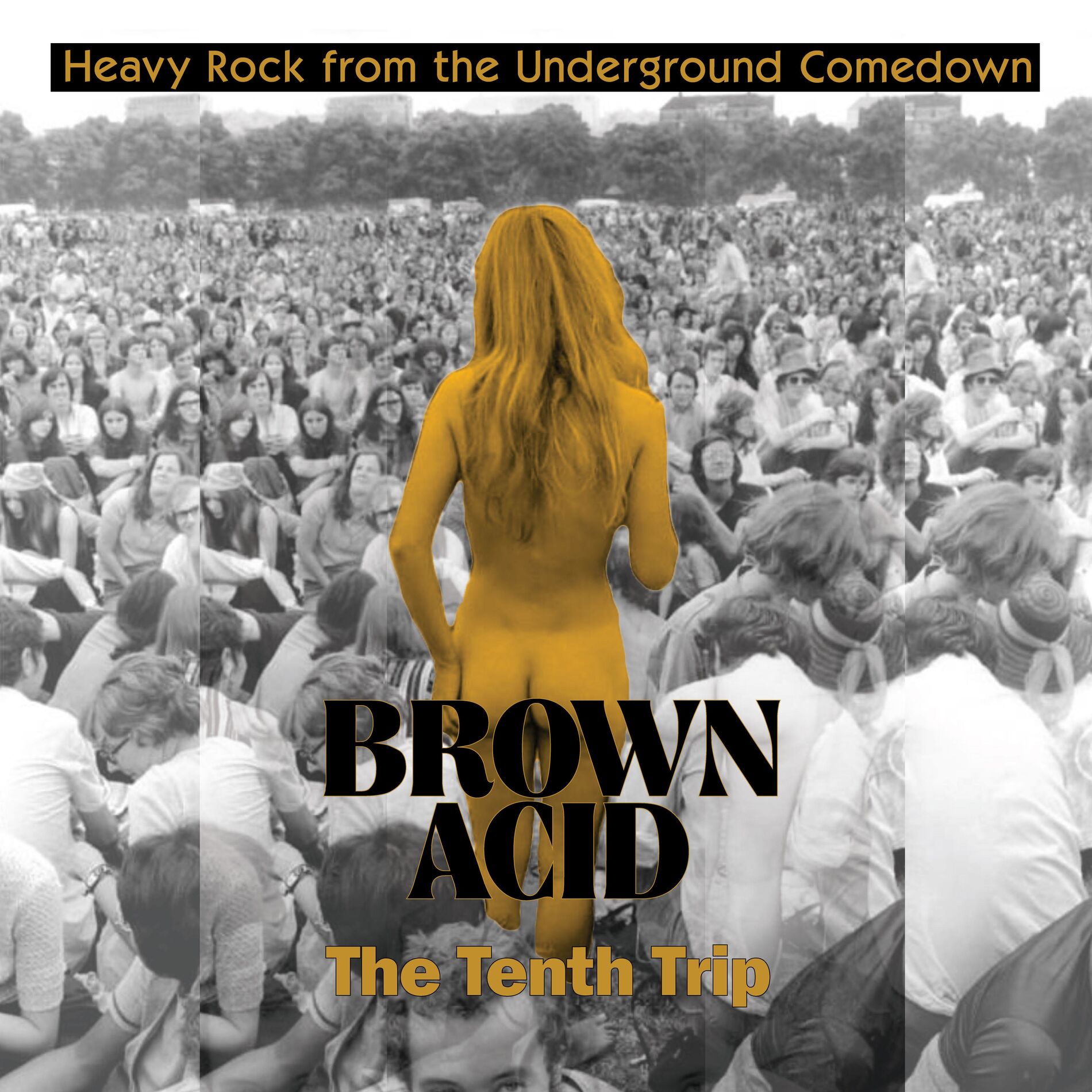 Album cover of Brown Acid - The Tenth Trip
