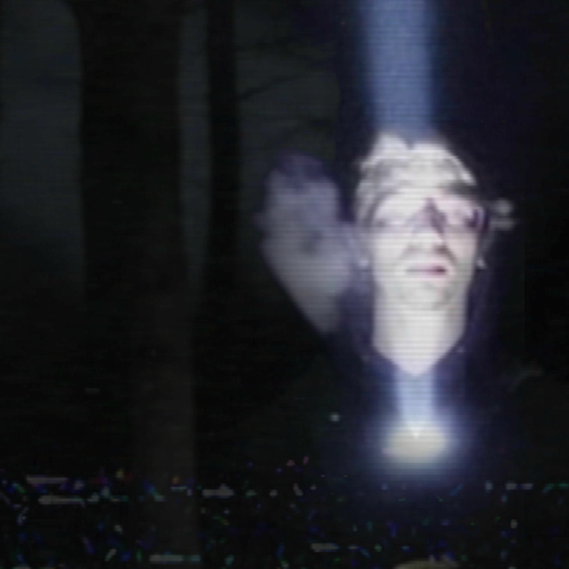 Album cover of Nightmare Forest