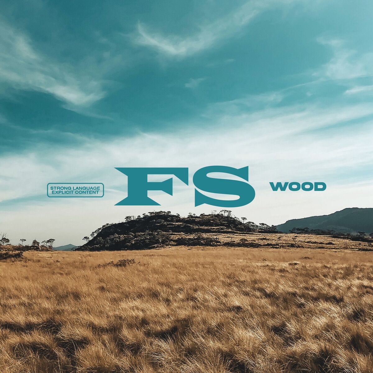 Album cover of FS