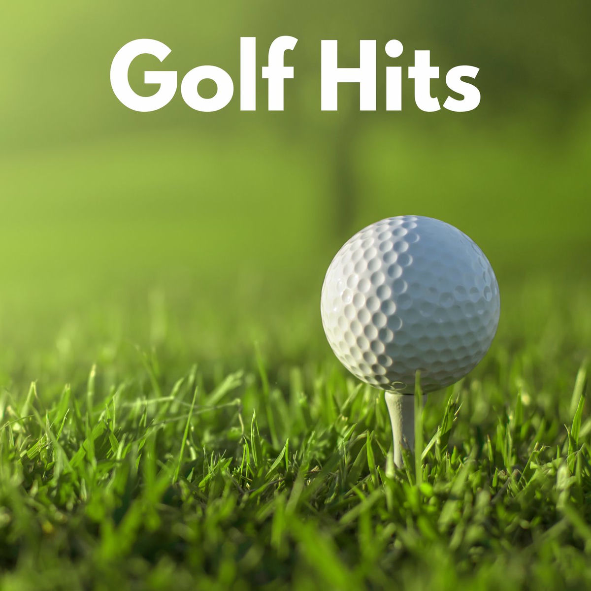 Album cover of Golf Hits