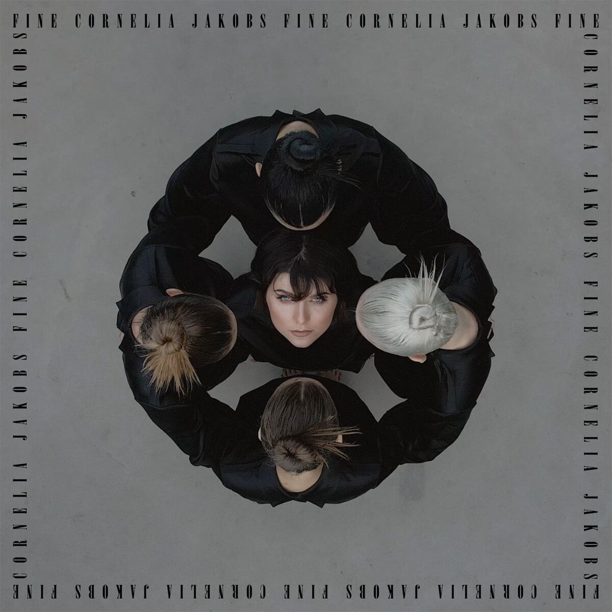 Album cover of Fine
