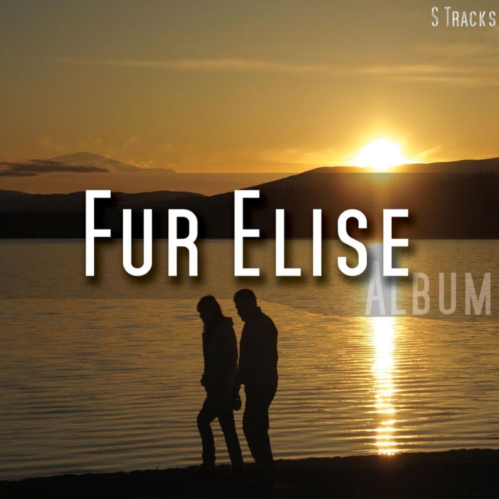Picture of Fur Elise