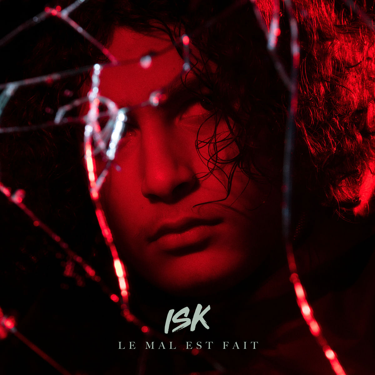 Album picture of Le mal est fait
