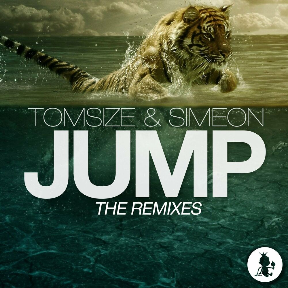 Picture of Jump (The Remixes)