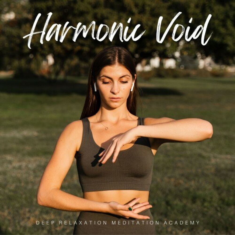Picture of Harmonic Void: Calm Meditation