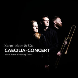 Cover of Schmelzer & Co